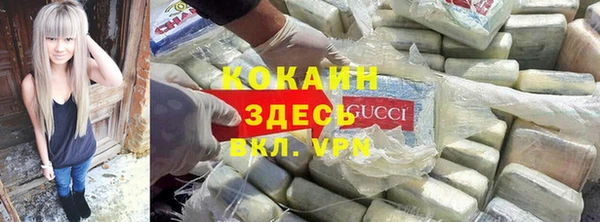сатива Володарск