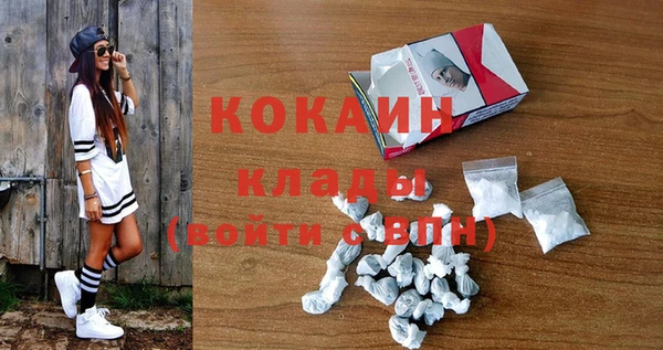 PSILOCYBIN Волосово