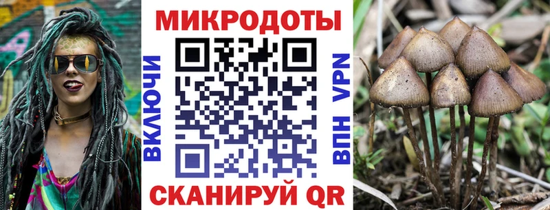 Галлюциногенные грибы MAGIC MUSHROOMS  Купить закладки  Мглин 